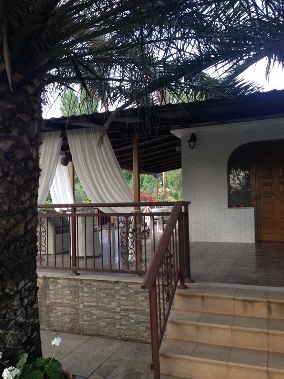 Villa Niki Neos Marmaras Buitenkant foto
