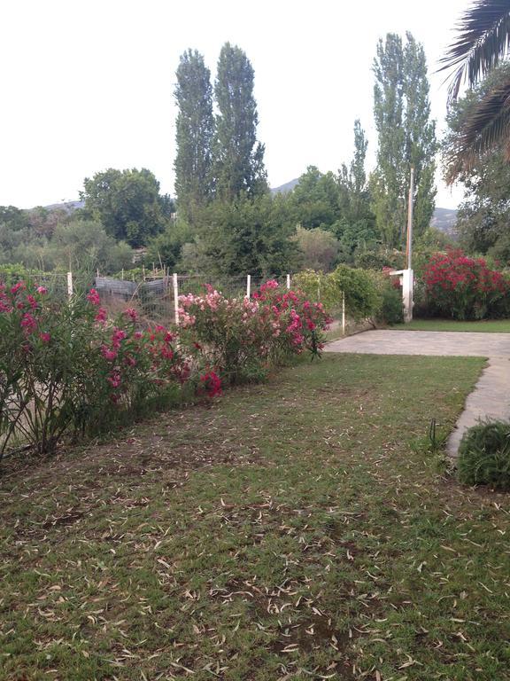 Villa Niki Neos Marmaras Buitenkant foto